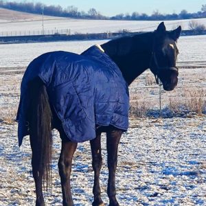 Pferdedecke Winter Thermo - Decke