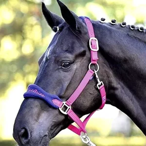 Busse Halfter SPIRIT-EQUI mit „Spirit of Equestrian“