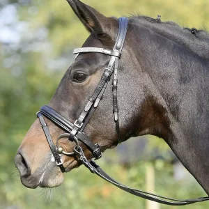 Busse Trensenzaum Leder -Fashion- Strassstirnband